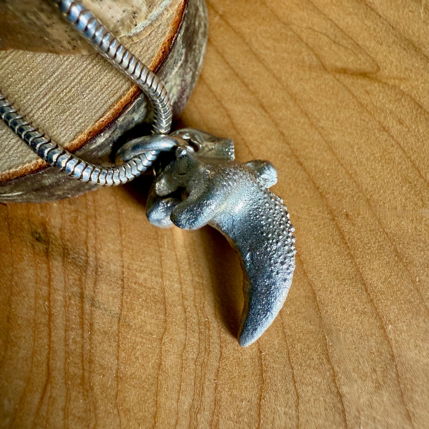 Shark's Tooth with 18" Snake Chain