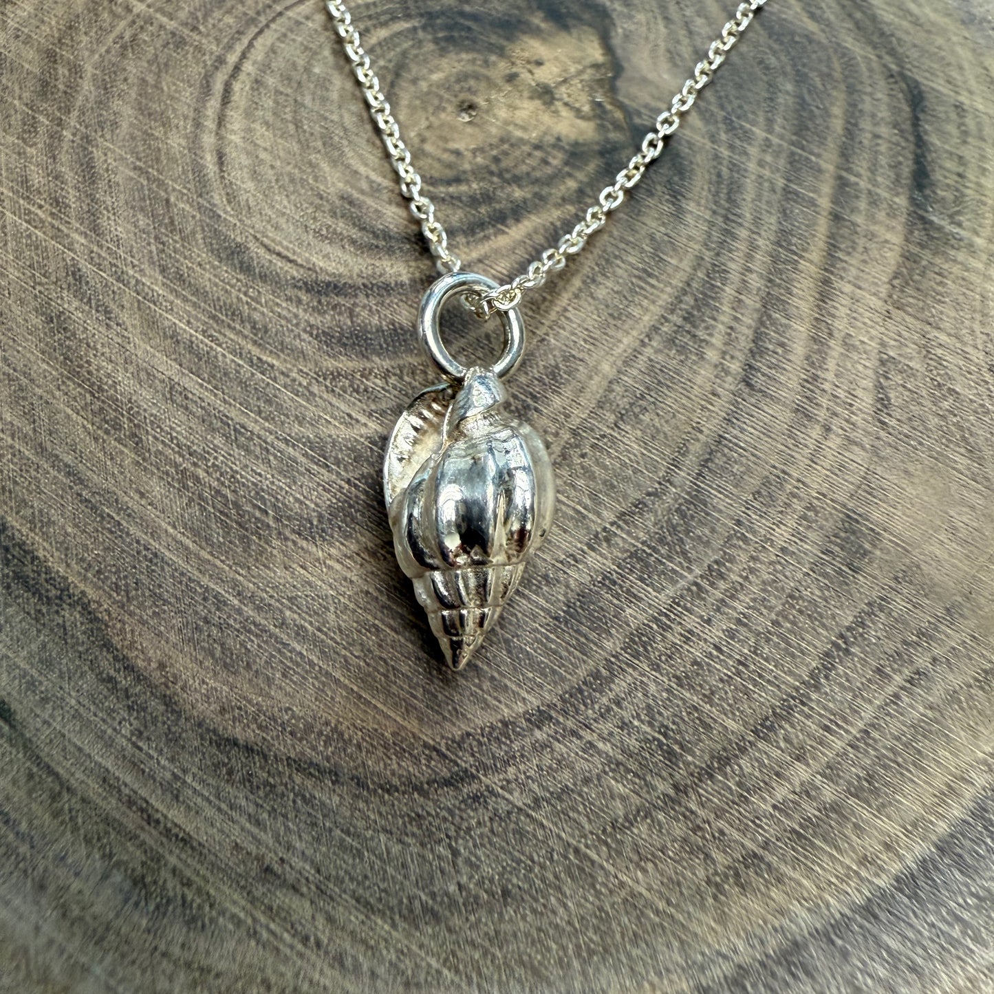 Medium Shell with 18" Snake Chain