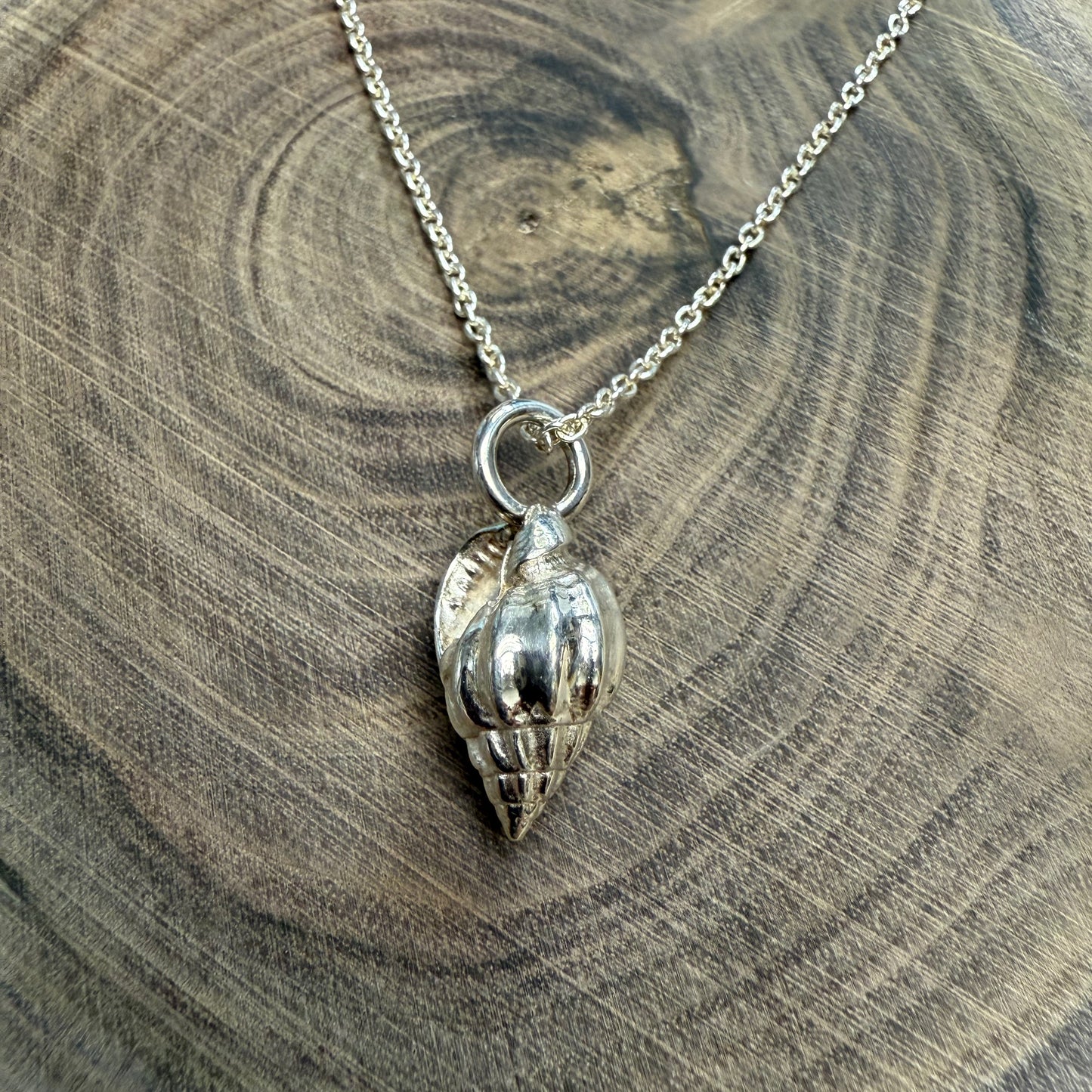 Large Shell with 18" Snake Chain