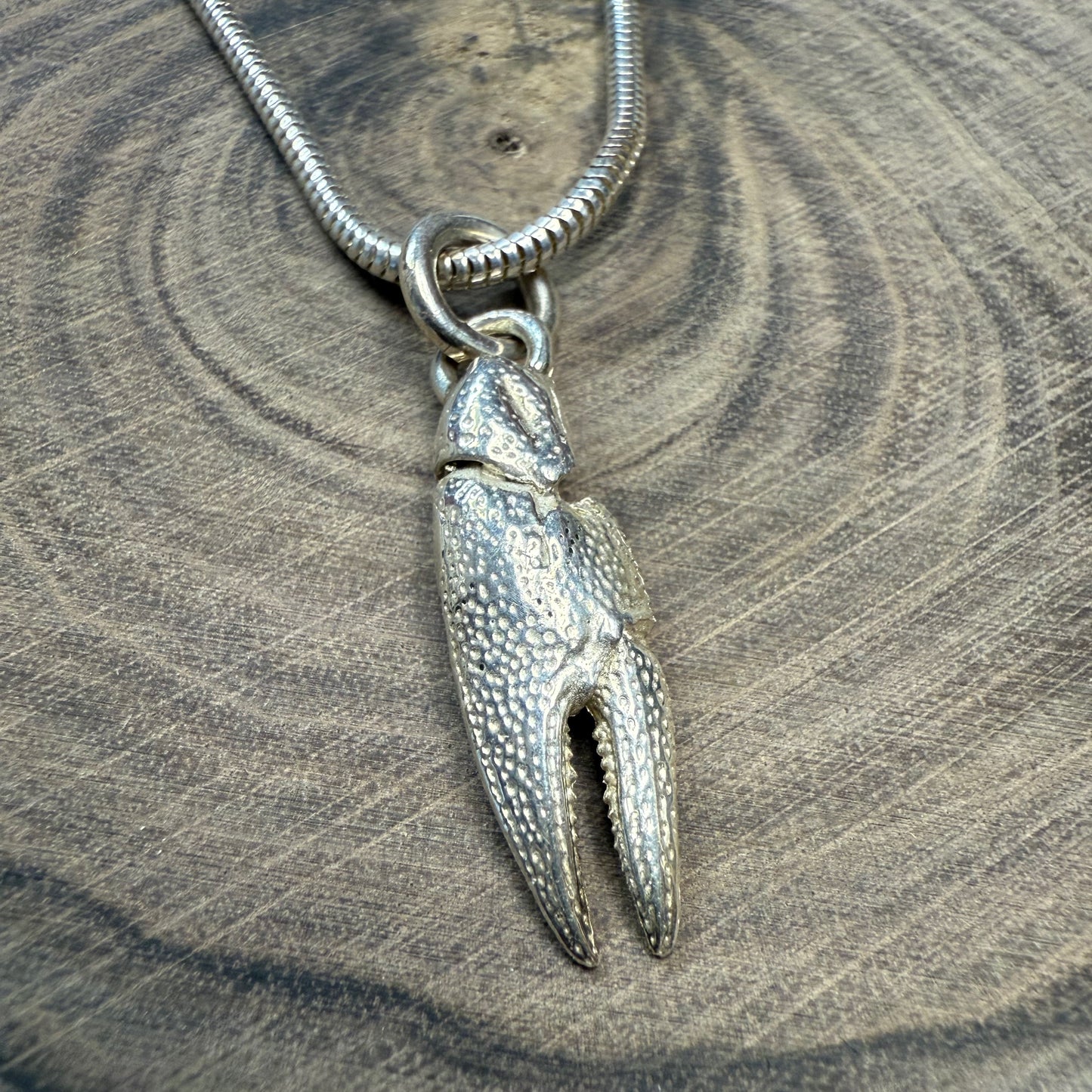 Medium Claw with 18" Snake Chain